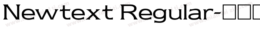 Newtext Regular字体转换
